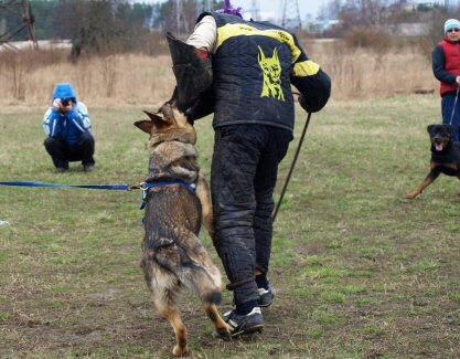 Training in Estonia 11. - 13. 4. 2008