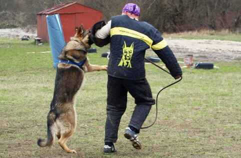 Training in Estonia 11. - 13. 4. 2008