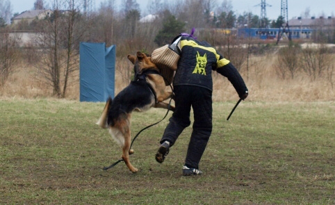 Training in Estonia 11. - 13. 4. 2008