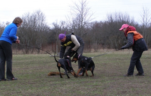 Training in Estonia 11. - 13. 4. 2008