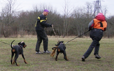 Training in Estonia 11. - 13. 4. 2008