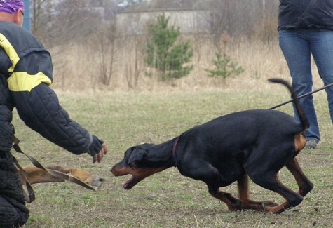 Training in Estonia 11. - 13. 4. 2008