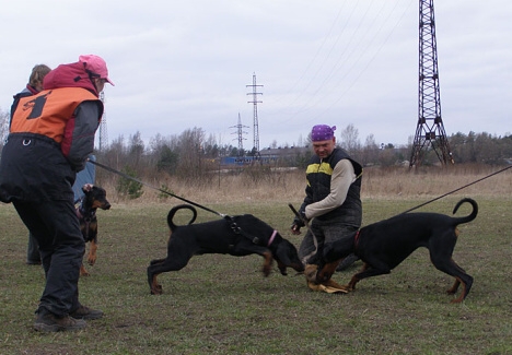 Training in Estonia 11. - 13. 4. 2008