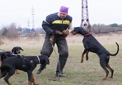 Training in Estonia 11. - 13. 4. 2008