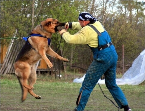 Training in Estonia 4. - 6. 5. 2007