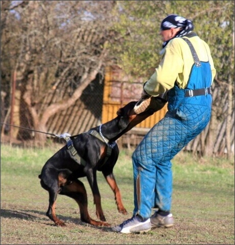 Training in Estonia 4. - 6. 5. 2007