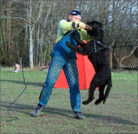 Training in Estonia 4. - 6. 5. 2007