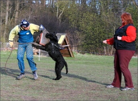 Training in Estonia 4. - 6. 5. 2007