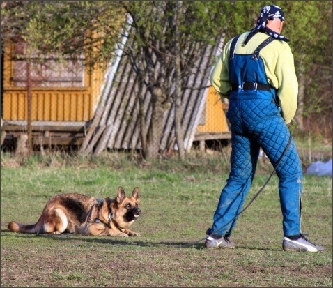 Training in Estonia 4. - 6. 5. 2007