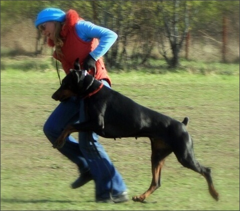 Training in Estonia 4. - 6. 5. 2007