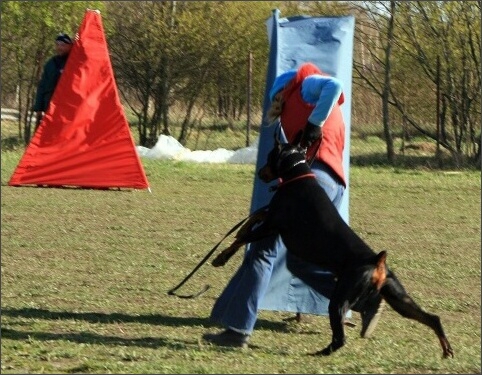 Training in Estonia 4. - 6. 5. 2007