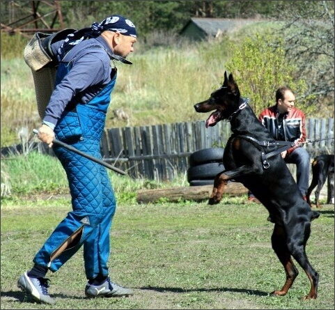 Training in Estonia 4. - 6. 5. 2007