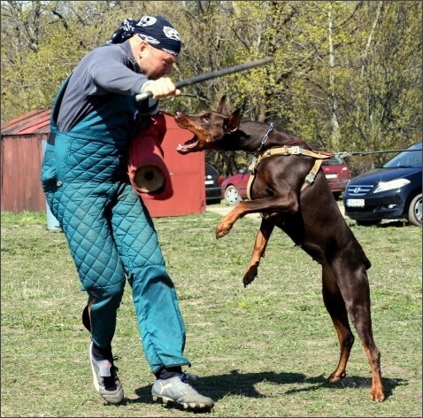 Training in Estonia 4. - 6. 5. 2007