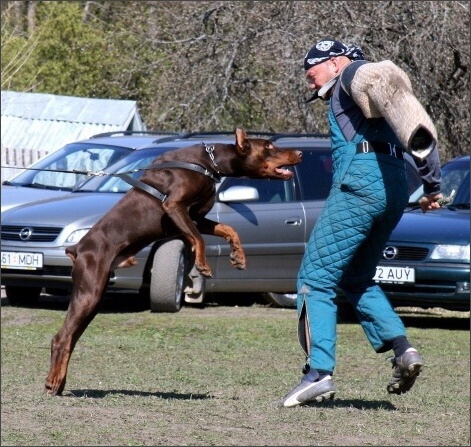 Training in Estonia 4. - 6. 5. 2007