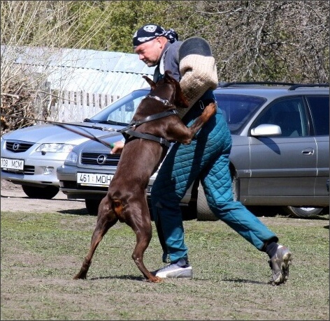 Training in Estonia 4. - 6. 5. 2007