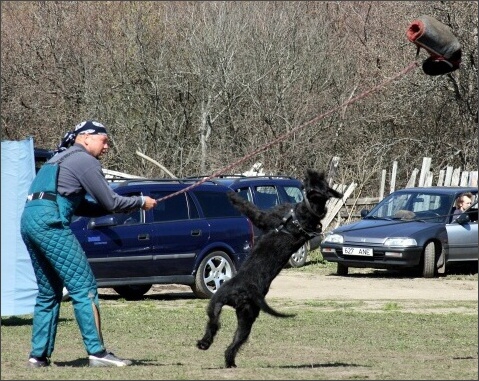 Training in Estonia 4. - 6. 5. 2007