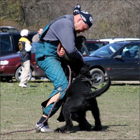 Training in Estonia 4. - 6. 5. 2007