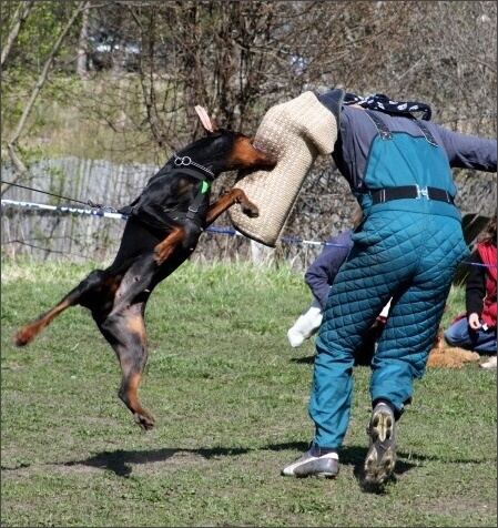 Training in Estonia 4. - 6. 5. 2007