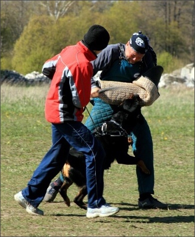 Training in Estonia 4. - 6. 5. 2007