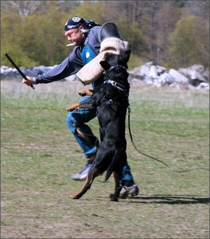 Training in Estonia 4. - 6. 5. 2007