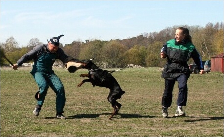 Training in Estonia 4. - 6. 5. 2007