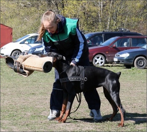 Training in Estonia 4. - 6. 5. 2007