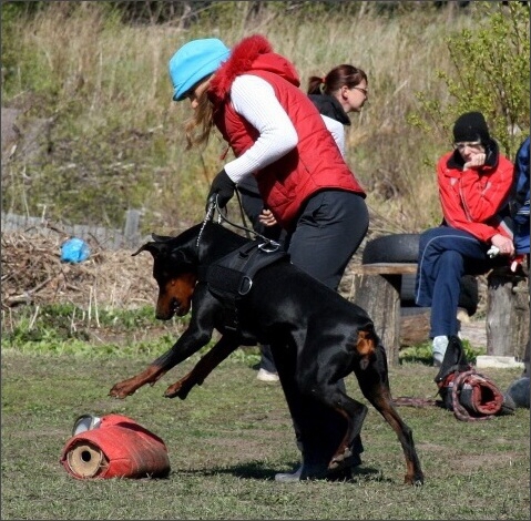 Training in Estonia 4. - 6. 5. 2007