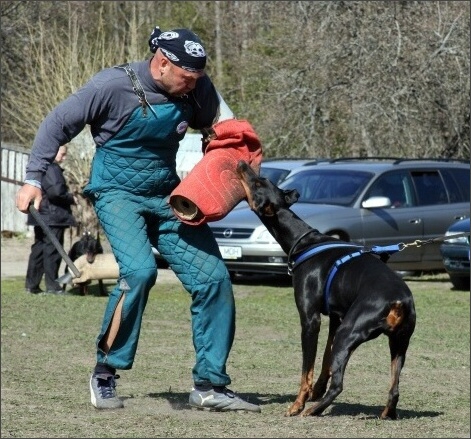 Training in Estonia 4. - 6. 5. 2007