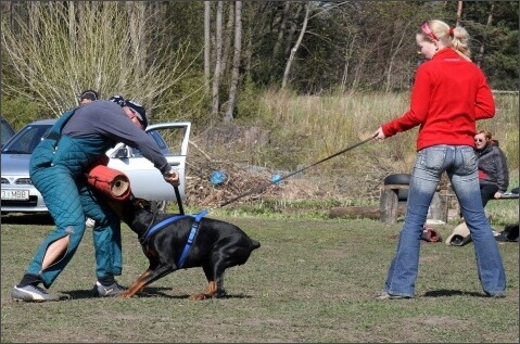 Training in Estonia 4. - 6. 5. 2007