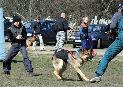 Training in Estonia 4. - 6. 5. 2007