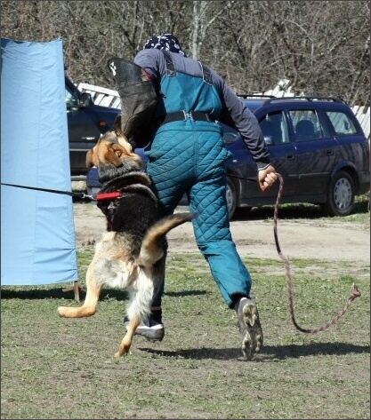 Training in Estonia 4. - 6. 5. 2007