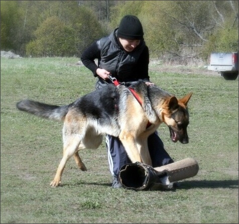 Training in Estonia 4. - 6. 5. 2007