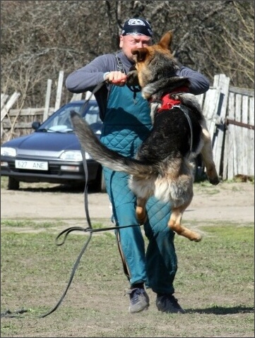 Training in Estonia 4. - 6. 5. 2007