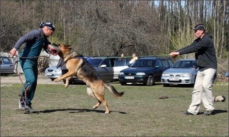 Training in Estonia 4. - 6. 5. 2007