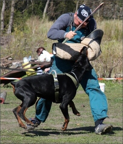 Training in Estonia 4. - 6. 5. 2007