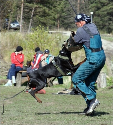 Training in Estonia 4. - 6. 5. 2007