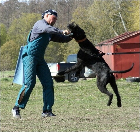 Training in Estonia 4. - 6. 5. 2007