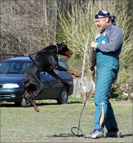 Training in Estonia 4. - 6. 5. 2007