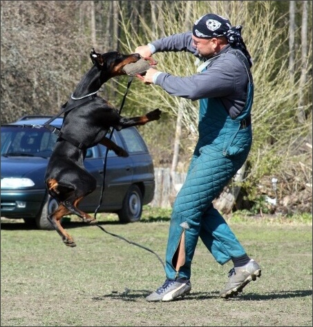 Training in Estonia 4. - 6. 5. 2007