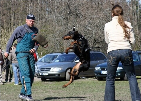 Training in Estonia 4. - 6. 5. 2007