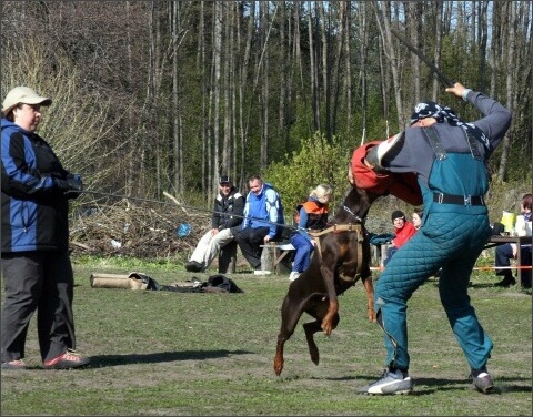 Training in Estonia 4. - 6. 5. 2007