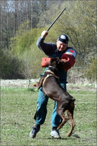 Training in Estonia 4. - 6. 5. 2007