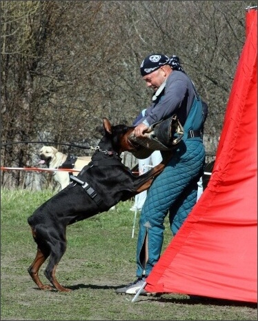 Training in Estonia 4. - 6. 5. 2007