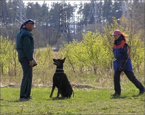 Training in Estonia 4. - 6. 5. 2007