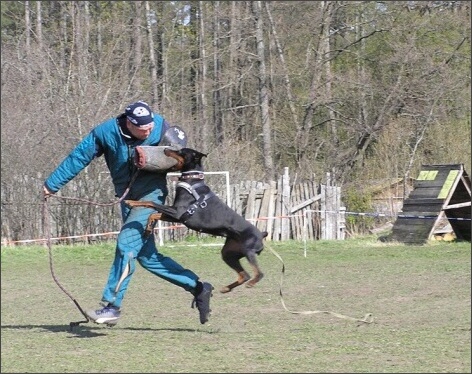 Training in Estonia 4. - 6. 5. 2007