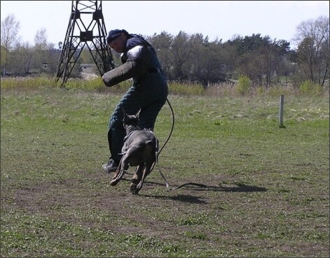 Training in Estonia 4. - 6. 5. 2007