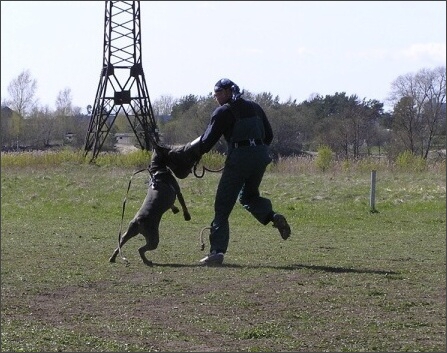 Training in Estonia 4. - 6. 5. 2007