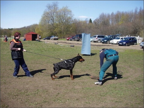 Training in Estonia 4. - 6. 5. 2007