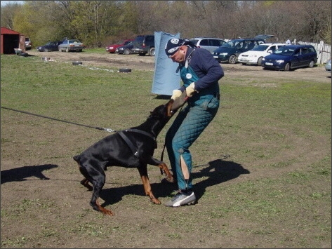 Training in Estonia 4. - 6. 5. 2007