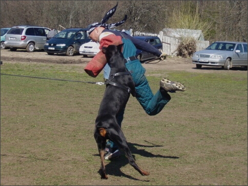 Training in Estonia 4. - 6. 5. 2007